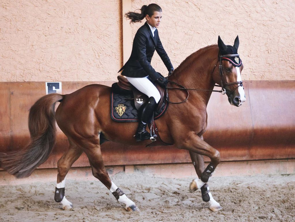 Charlotte Casiraghi Paard