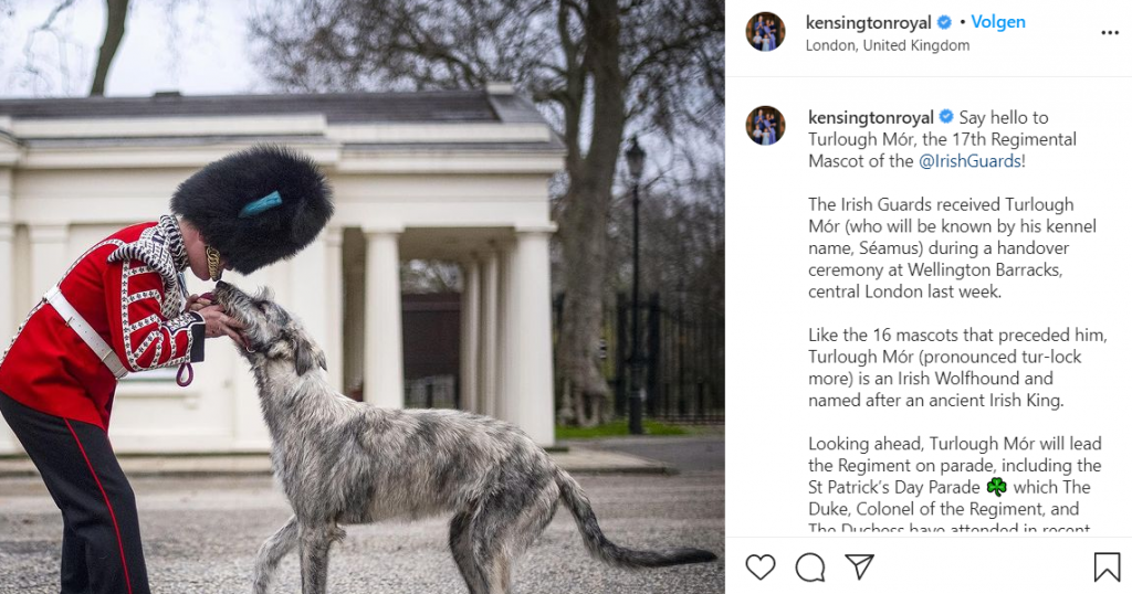 Kensington Royal Screenshot Instagram Mascotte Hond December 2020