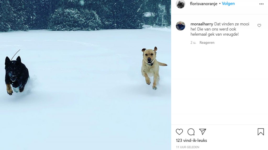 Floris Sneeuw Screenshot Instagram Foto 1