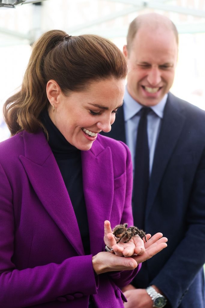 Prince William And Kate Middleton In Northern Ireland Catherine beest insect spin vogelspin