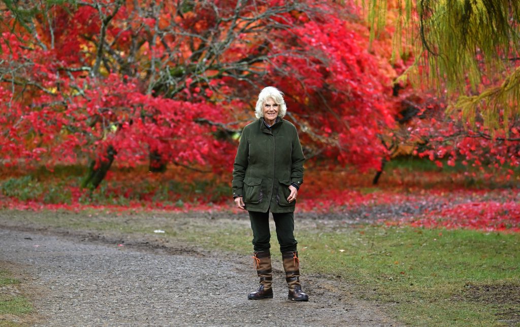 The Duchess Of Cornwall Visits Westonbirt Arboretum