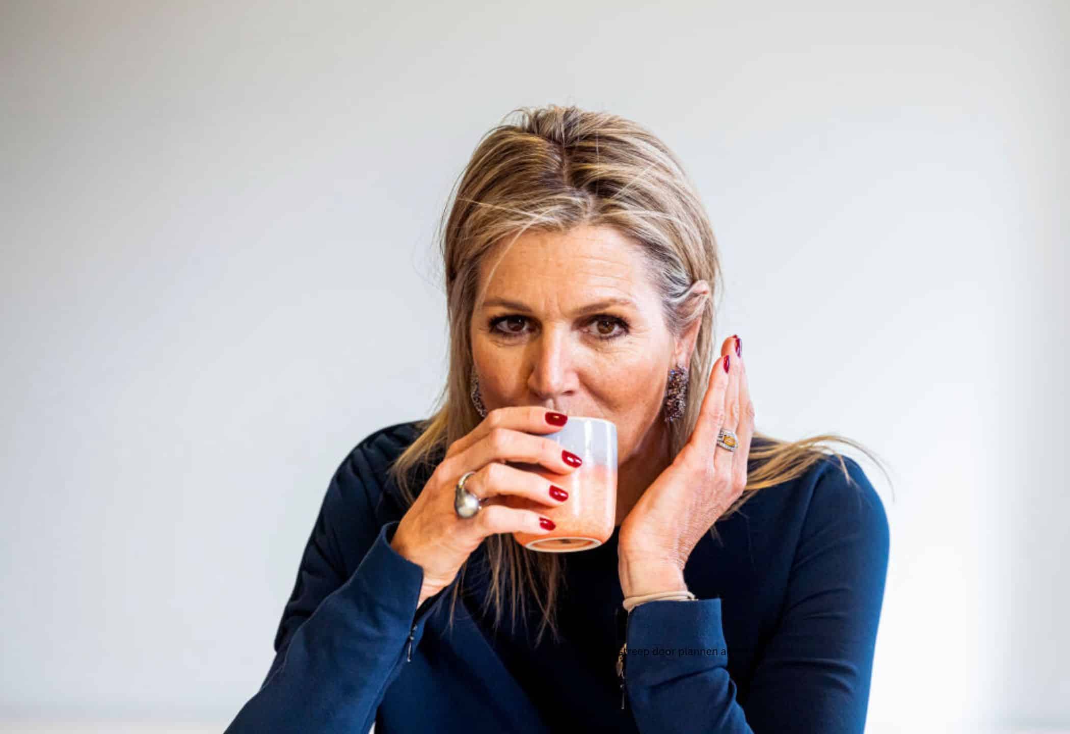 Maxima Zette Streep Door Plannen Alexia