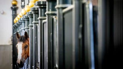 Gettyimages 2162325552