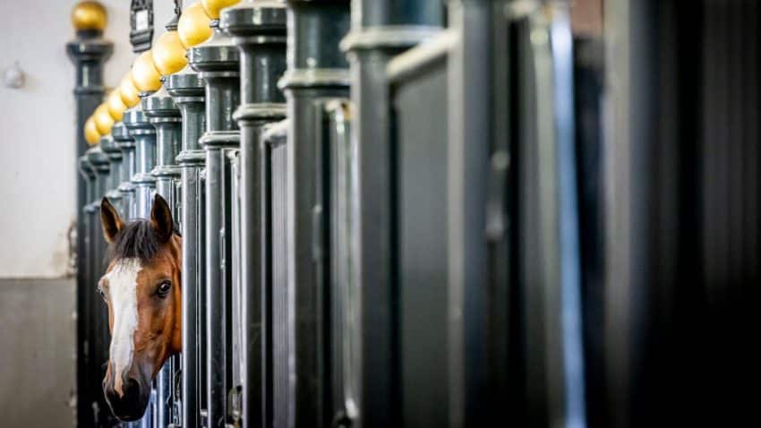 Gettyimages 2162325552