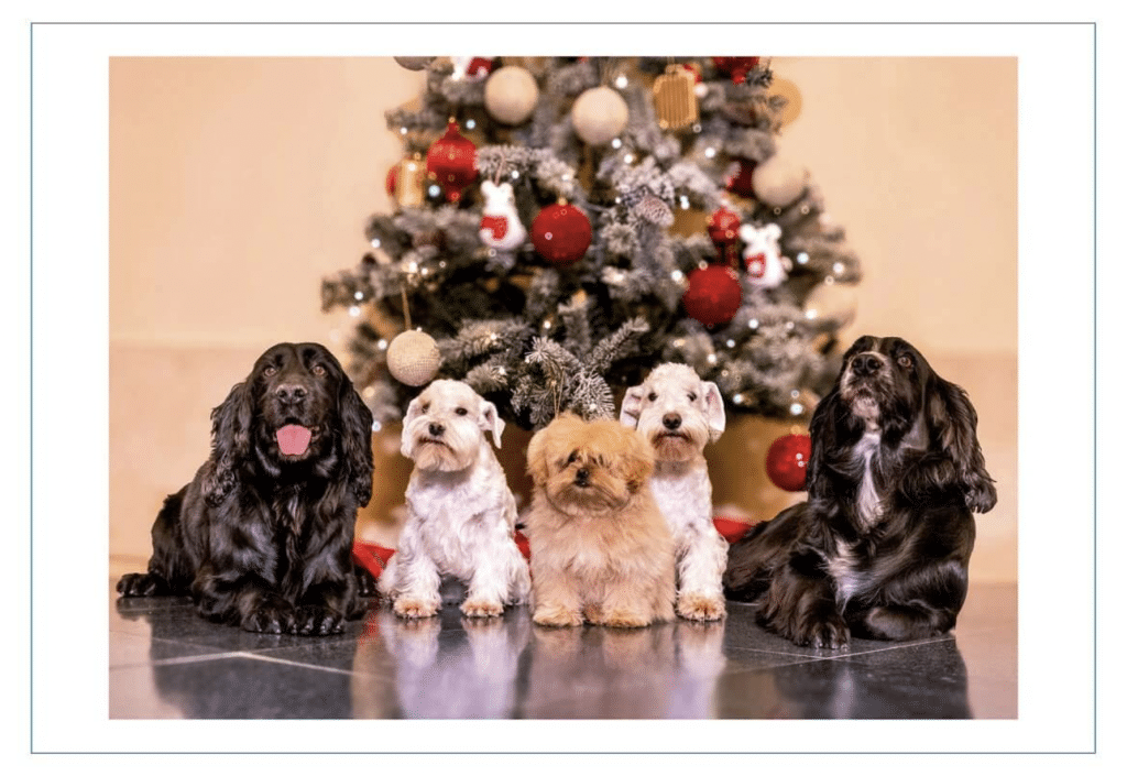 Juan Carlos Sofia Kerstkaart 1