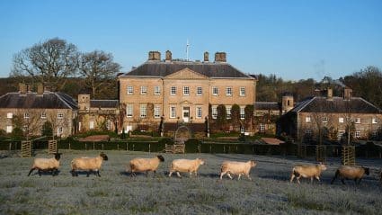 Gettyimages 2248226485