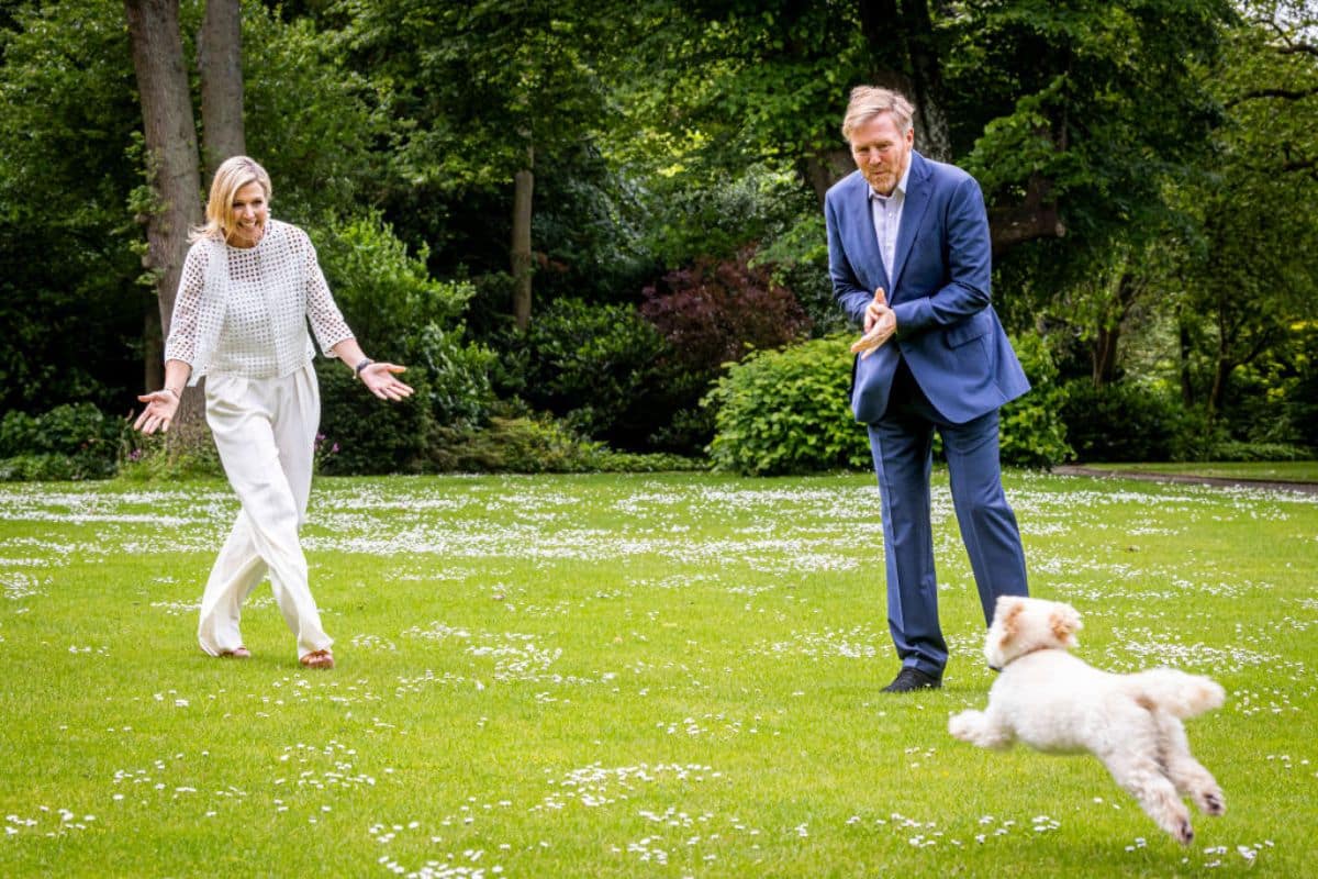 Dit wil je weten over Mambo, het hondje van Máxima