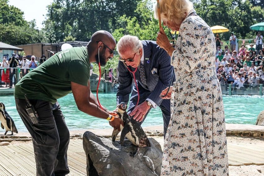 Charles en Camilla in de London Zoo - Getty Images