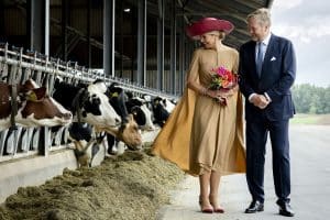 Koningspaar in Drenthe - ANP