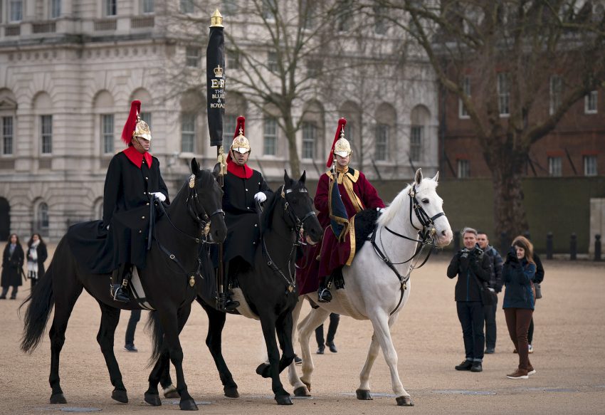 Paarden Losgeslagen Horse Guards Parade Royalty Online